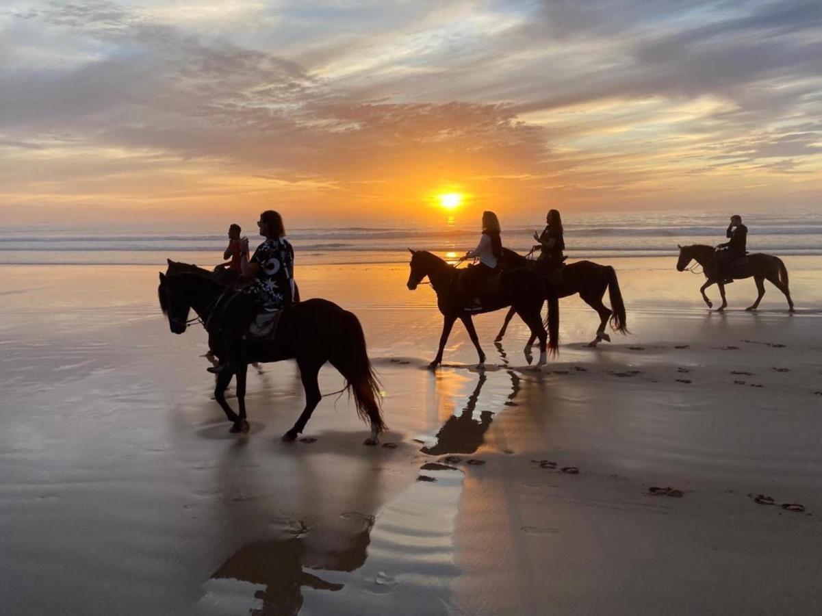 Essaouira Beach Hostel Εξωτερικό φωτογραφία